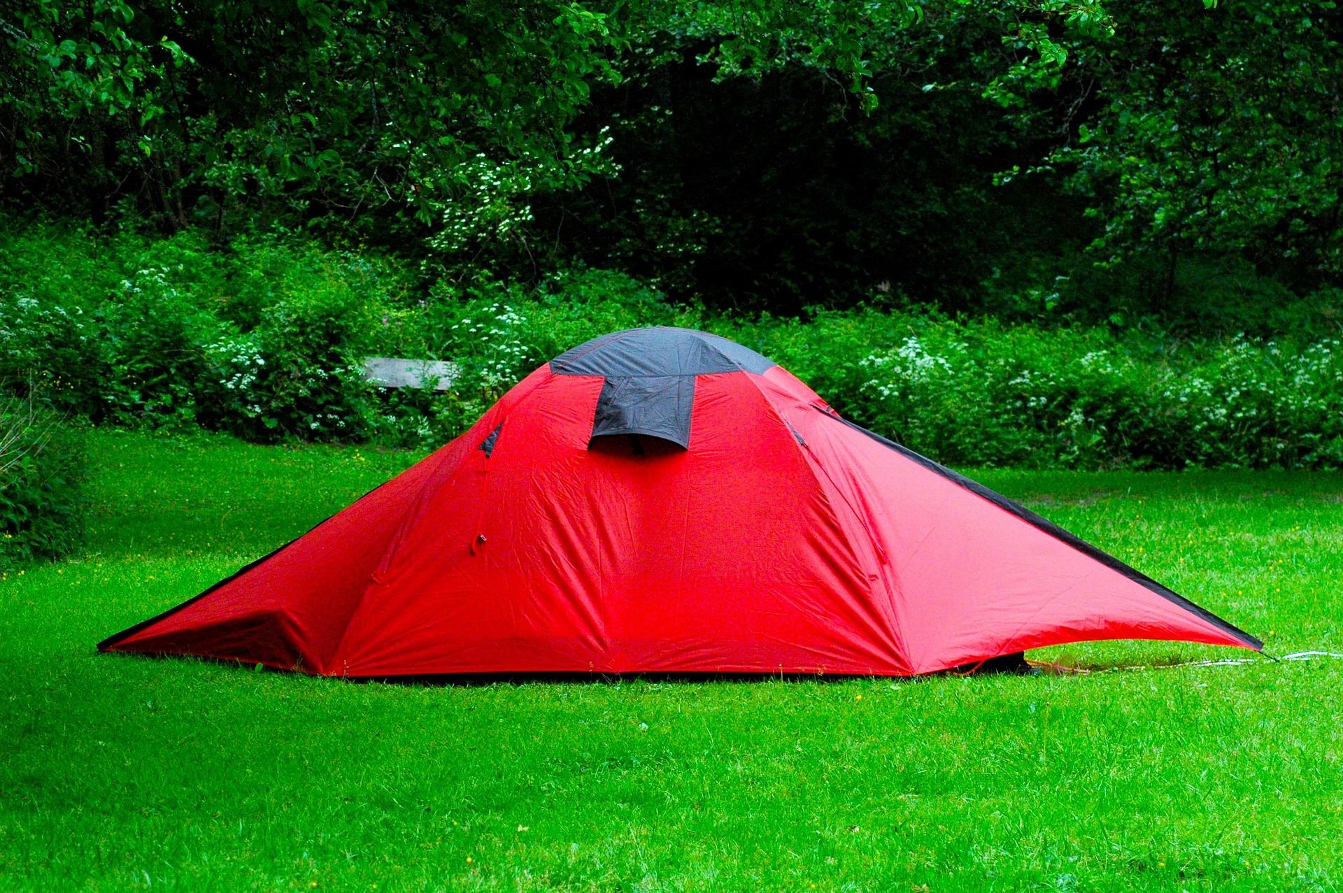 A red backpacking tent pitched on bright green grass at the edge of dense summer forest