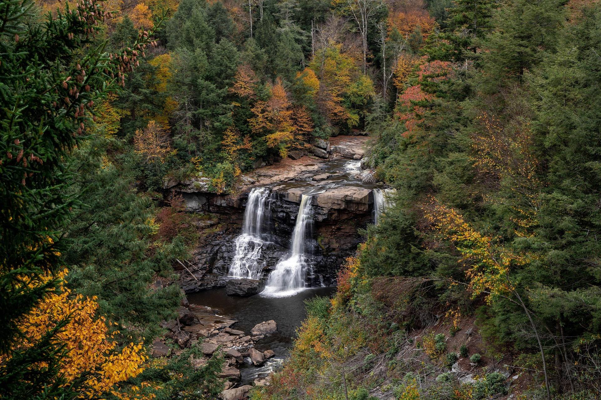 Blackwater Falls dropping into the Blackwater Canyon in West Virginia, framed by autumn hardwoods and hemlock