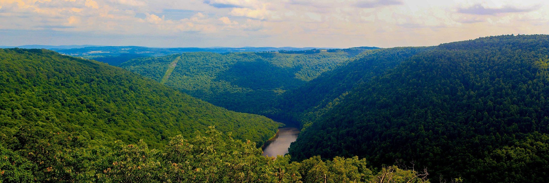 Panoramic view of the Cheat River winding through the forested Cheat Canyon in northern West Virginia