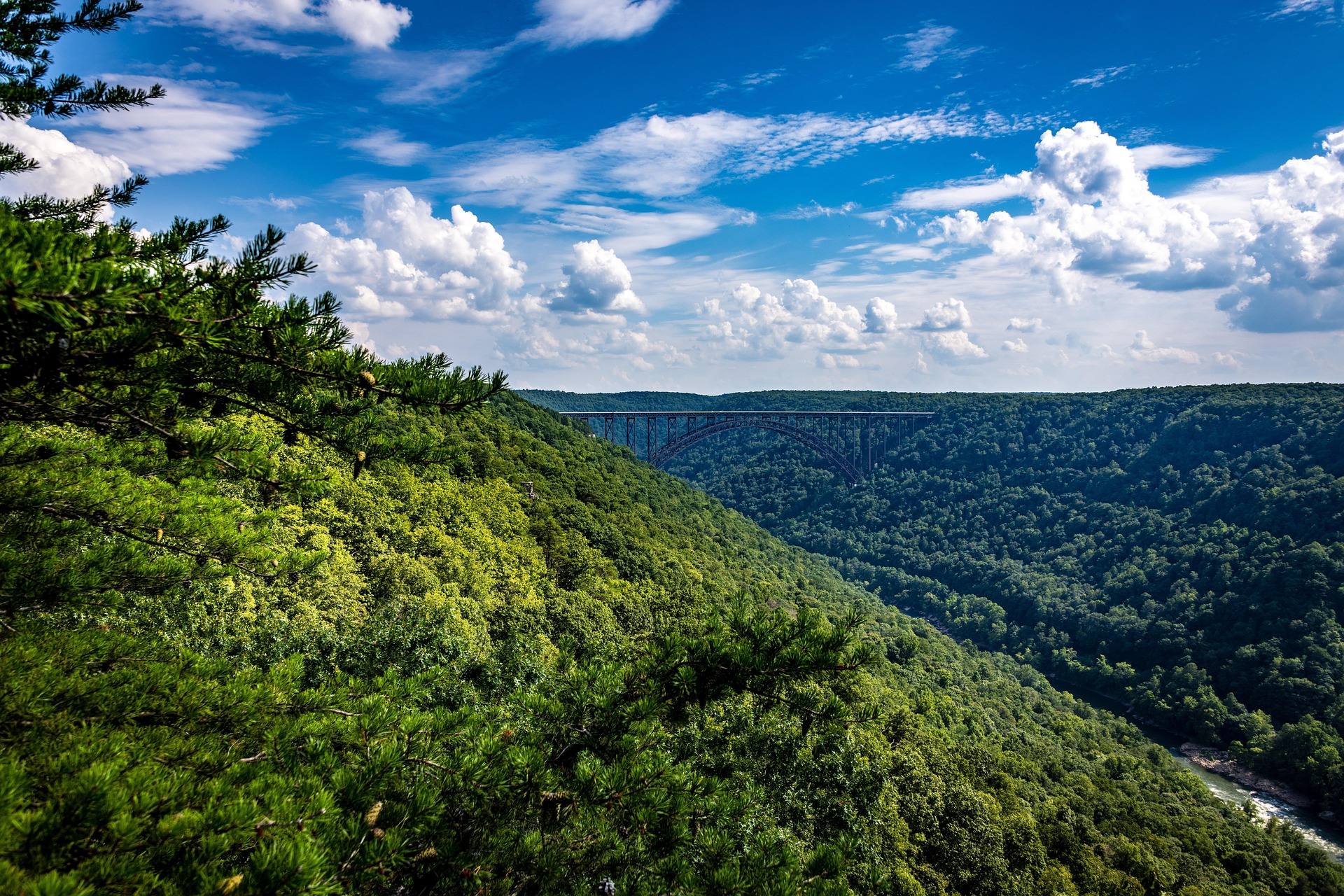 A deep green forested gorge seen from a rocky West Virginia overlook on a clear summer day