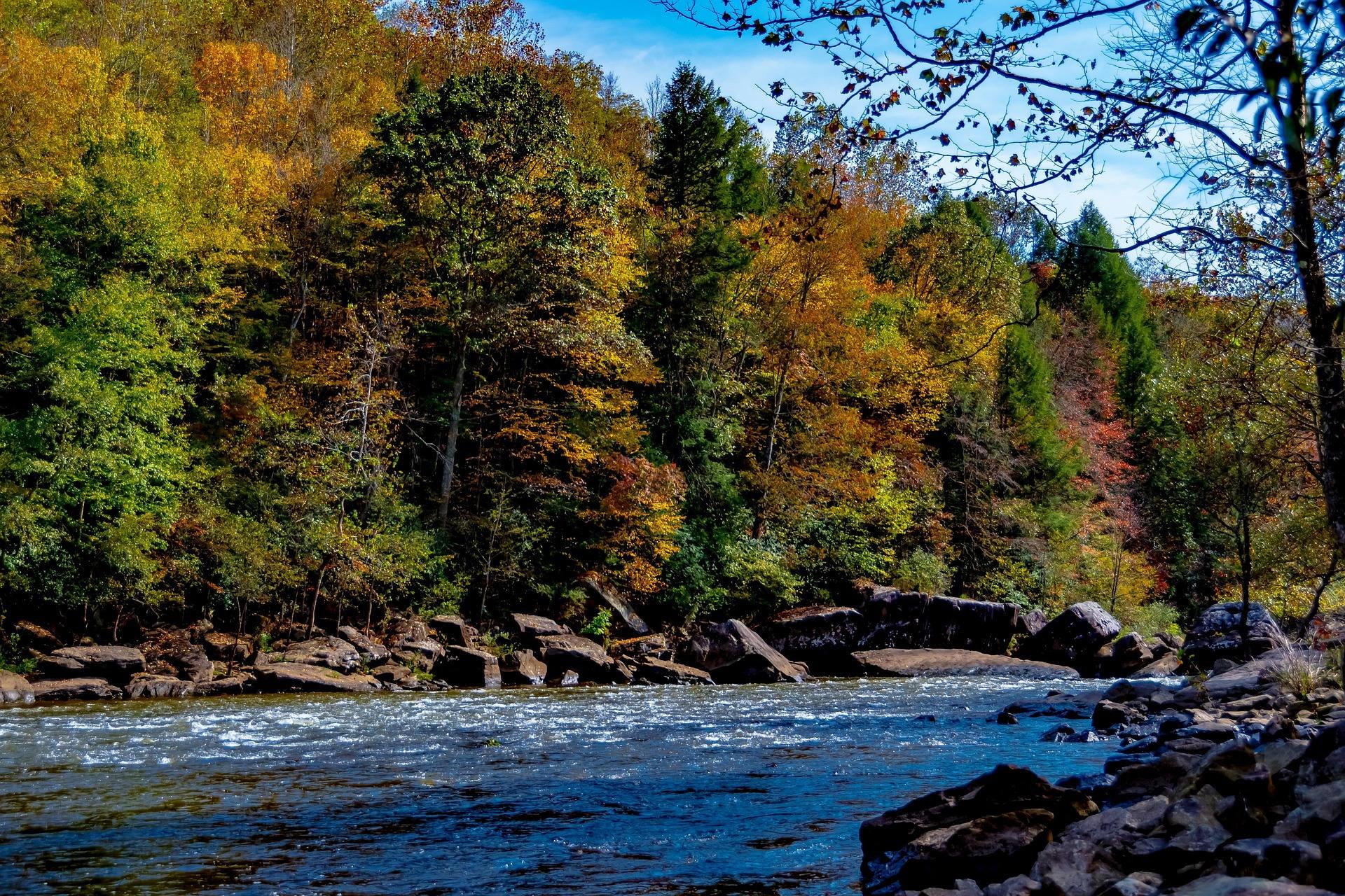 The Gauley River running through a gorge lined with peak autumn color during fall rafting season in West Virginia