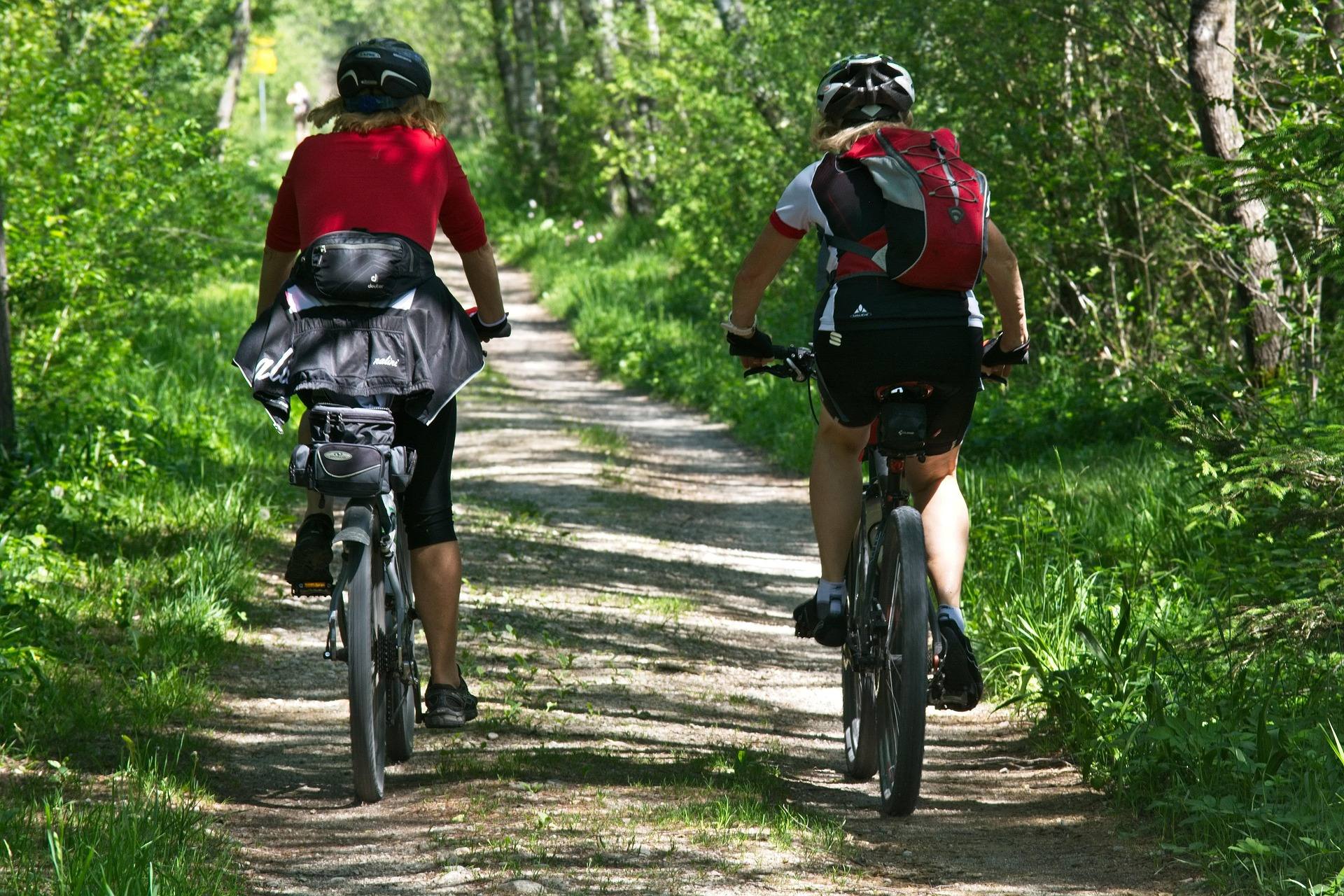 Two mountain bikers riding a shaded singletrack trail through a green hardwood forest