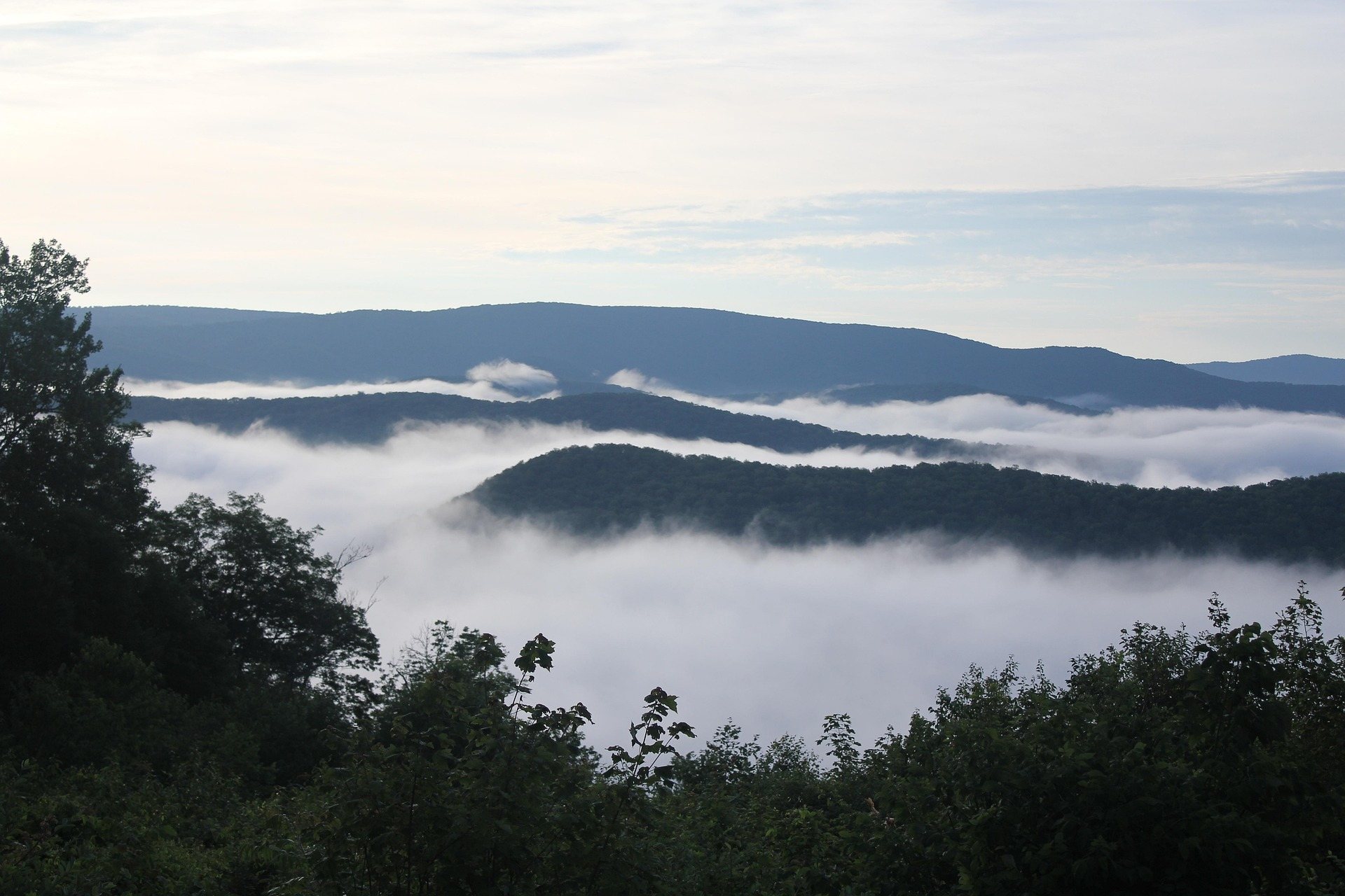 Fog filling a West Virginia valley below forested ridges at first light, with treetops rising through the cloud