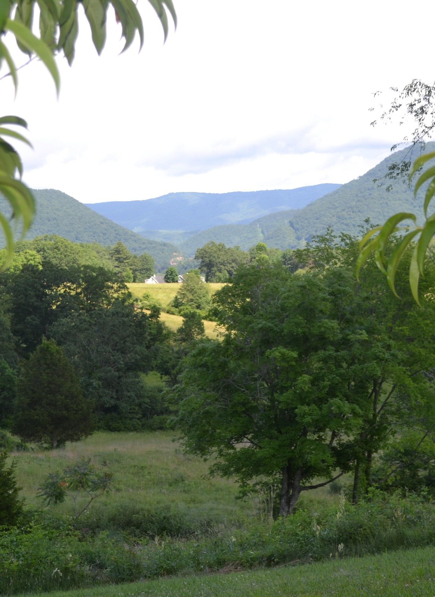 A green summer valley of pasture and hardwood trees below a long West Virginia mountain ridge